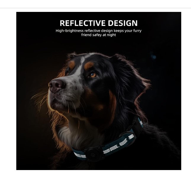 Best AirTag Dog Collar Holders 2025 – Safe, Stylish & Secure Picks