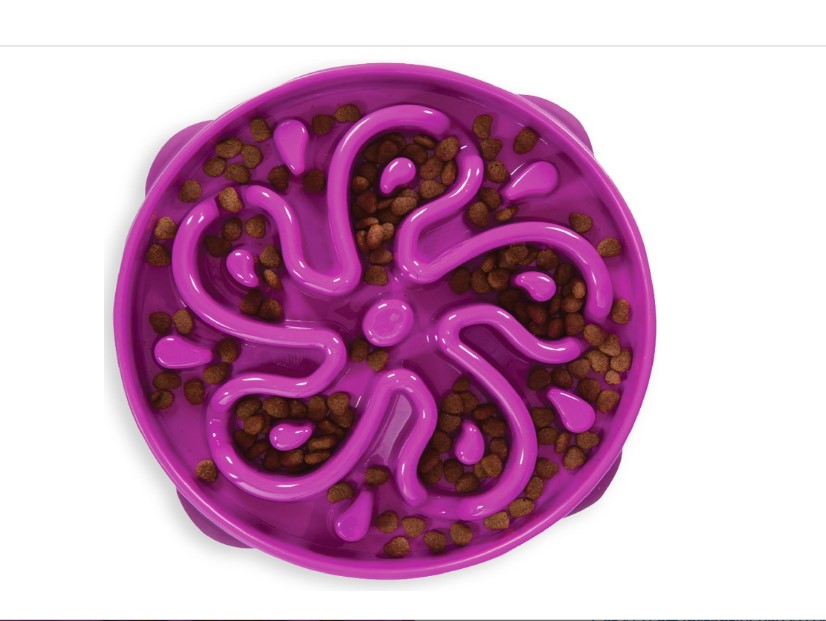 Top 5 Slow Feeder Dog Bowls for Fast Eaters in the USA | Liibe.com