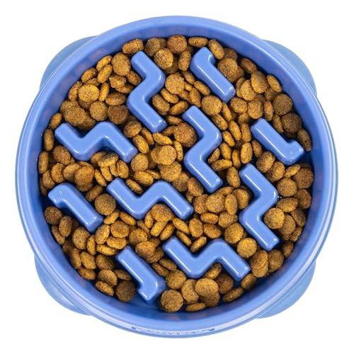 Outward Hound Slow Feeder Dog Bowl - Promotes Healthy Digestion, Prevents Bloat | Fun Mealtime, Slows Eating, Durable - Medium Blue