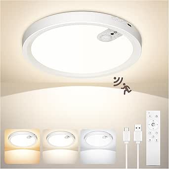 ONEWEST Motion Sensor Ceiling Light, Rechargeable, Remote Control, 3 Colors, 30s/60s/120s Timer - Indoor Battery Operated