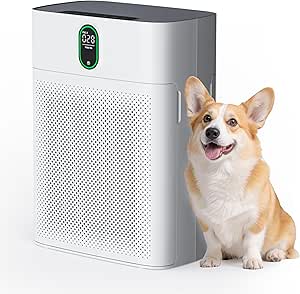 Pureborne Large Room Air Purifier, HEPA Filter, PM 2.5 Display, Dual Air Intake, Quiet 24dB, Bedroom, Pet Hair Dust Smoke