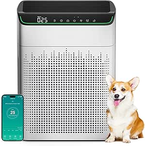 Luftreiniger für Zuhause: Großer Raum, PM 2,5 Monitor, WiFi & Alexa, Rauch & Geruch, 4 Modi