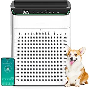 Air Purifier for Large Room up to 1690 ft², HEPA Filter, WiFi, Alexa, Smoke & Odor Control