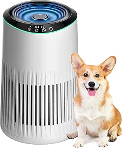 MR2566 Air Purifier for Home: Smoke, Pet Dander, Odors - Sleep Mode, Ambient Light - Small Size, Bedroom, Office - White