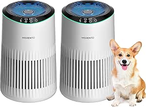 Bedroom Air Purifiers: Sleep Mode, Smoke & Pet Odor Removal, Quiet Operation, Fragrance Sponge, Blue Light, 2-Pack