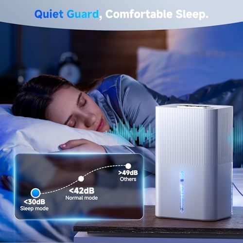 Energy Saving 2700ML Dehumidifier for Home with Quiet Operation, Auto Shut-off, LED Lights, Timer - Ideal for Bedroom, Wardrobe, Car, Bathroom - Drying Clothes