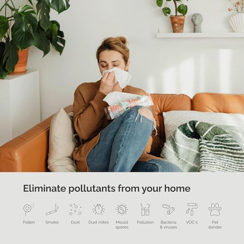 MeacoClean Air Purifier: HEPA Filter, WiFi Control, Allergen Removal