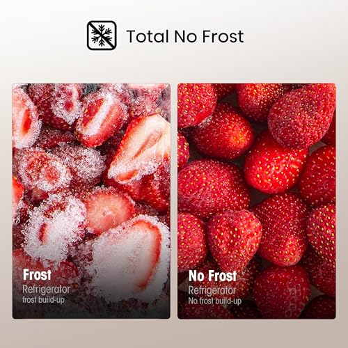 Hisense 55cm Fridge Freezer: 251L, No Frost, Water Dispenser