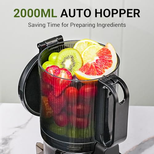 AMZCHEF Cold Press Juicer 250W - Liberate Your Hands! Slow Juicer 2L Capacity for Whole Fruit & Vegetable - Triple Filter, Safety Lock - Classic Black