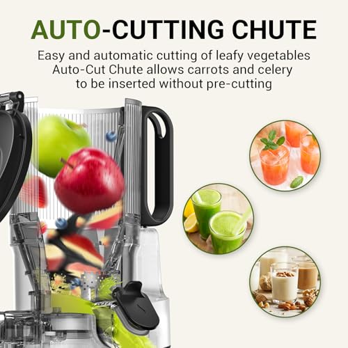 AMZCHEF Cold Press Juicer 250W - Liberate Your Hands! Slow Juicer 2L Capacity for Whole Fruit & Vegetable - Triple Filter, Safety Lock - Classic Black