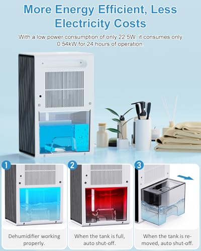 Brand Dehumidifier, 2 Speeds + 2 Modes, Auto-Defrost, Timer
