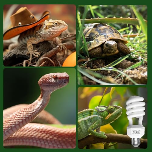 Bonlux 26W UVA UVB Light Bulb for Reptiles E27 Screw Base - Ideal for Amphibians, Snakes, Lizards, Turtles
