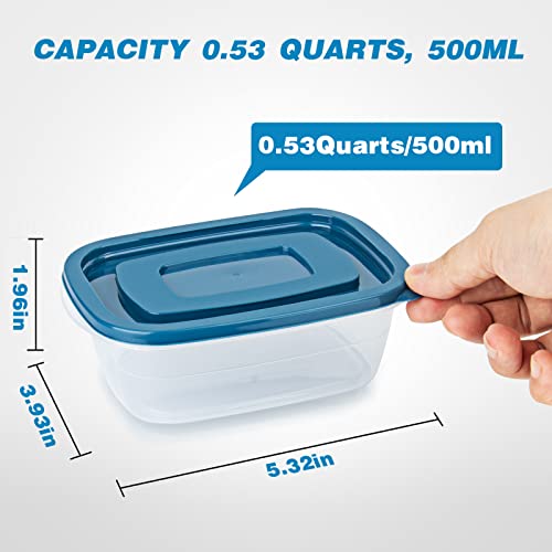 EFISH 10PCS Rectangle Portion Box Sets with Lids - Food Storage Container for School, Work, Travel - 500ML Per Box - Blue