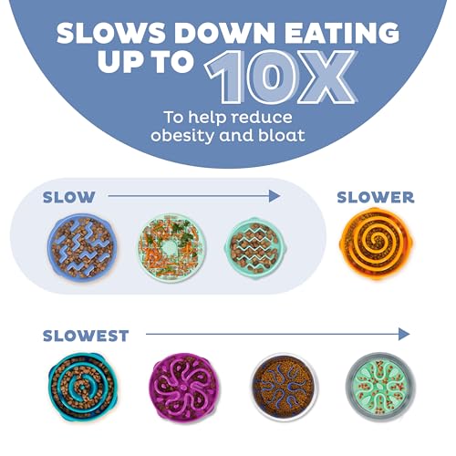 Outward Hound Slow Feeder Dog Bowl - Promotes Healthy Digestion, Prevents Bloat | Fun Mealtime, Slows Eating, Durable - Medium Blue