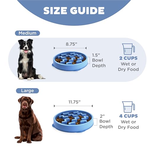 Outward Hound Slow Feeder Dog Bowl - Promotes Healthy Digestion, Prevents Bloat | Fun Mealtime, Slows Eating, Durable - Medium Blue