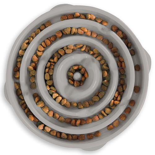 Outward Hound Slow Feeder Bowl for Medium to Large Dogs, Puzzle Maze, Prevents Bloat, Holds 4 Cups, Non-Slip, BPA-Free, Gray