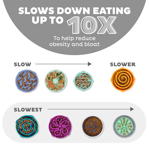 Outward Hound Slow Feeder Bowl for Medium to Large Dogs, Puzzle Maze, Prevents Bloat, Holds 4 Cups, Non-Slip, BPA-Free, Gray