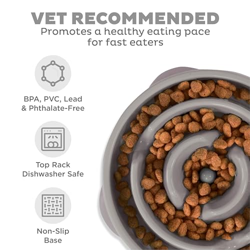 Outward Hound Slow Feeder Bowl for Medium to Large Dogs, Puzzle Maze, Prevents Bloat, Holds 4 Cups, Non-Slip, BPA-Free, Gray