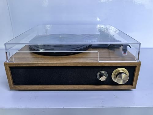 FYDEE Record Player: Bluetooth, Stereo Speakers, 3 LP Sizes