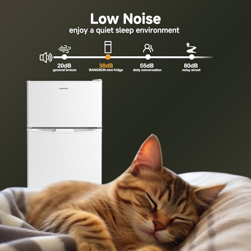 BANGSON Mini Fridge 2 Door with Freezer, Bedroom Refrigerator, 3.2 CU.FT