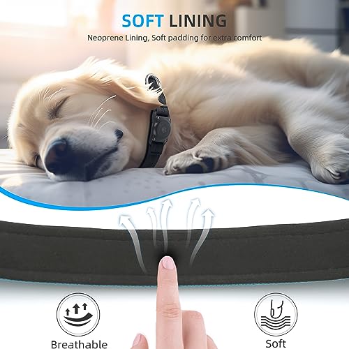 AirTag Dog Collar Holder, Waterproof & Reflective, Comfortable Padded, Heavy Duty - Small Medium Large Dogs - Blue