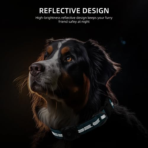 AirTag Dog Collar Holder, Waterproof & Reflective, Comfortable Padded, Heavy Duty - Small Medium Large Dogs - Blue