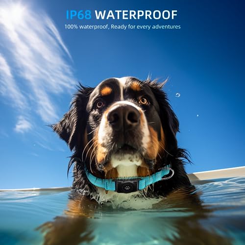 AirTag Dog Collar Holder, Waterproof & Reflective, Comfortable Padded, Heavy Duty - Small Medium Large Dogs - Blue