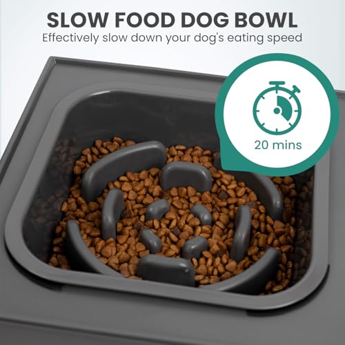 Niubya Raised Dog Bowls with Slow Feeder, Adjustable Heights for Small, Medium, and Large Dogs