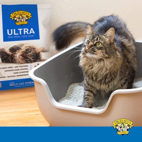 Dr. Elsey's Unscented Clumping Cat Litter - 40 lb Bag
