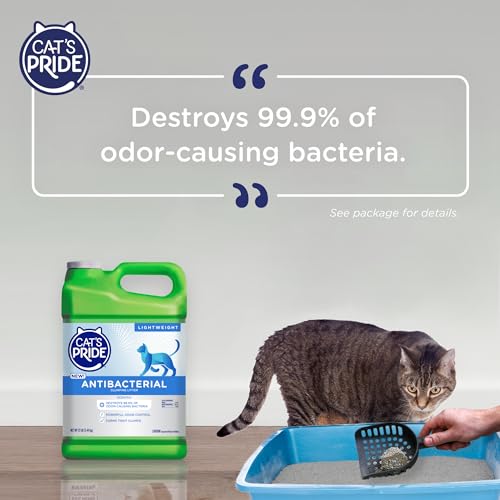 Cat's Pride Antibacterial Cat Litter: 99.9% Bacteria Destruction, Odor Control, Lightweight Clumping - Scented, 12 lbs