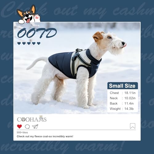 CozyPaws Waterproof Dog Winter Coat with Harness for Small to Medium Dogs, Windproof Puffer Jacket for Puppies - Ideal for Dachshund, Frenchie, Corgi - Classic Blue