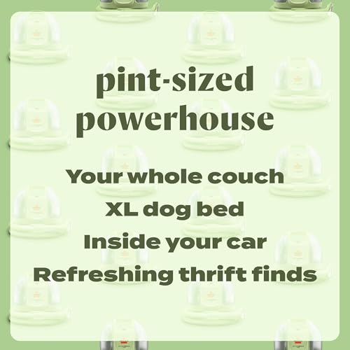 BISSELL Little Green Portable Carpet Cleaner with Self-Cleaning Tool