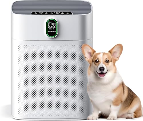 MORENTO Air Purifier for Allergy Relief with HEPA Filter - Removes Dust, Pollen, Pet Hair - CADR 300m³/h - Ideal for Smoker Rooms - PM2.5 Indicator - Quiet 24dB - 1 Pack, 2 Filters