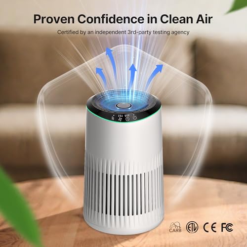 MERONTE Air Purifier: Smoke Odor Removal with Fragrance Sponge, Sleep Mode, Blue Night Light - Home & Office - 1 Pack