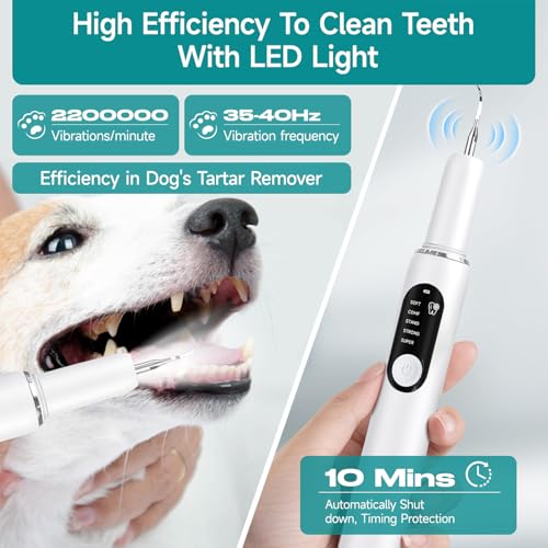 Pet Ultrasonic Tooth Cleaner Teeth Cleaning Kit LED Light 5 Modes