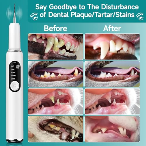 Pet Ultrasonic Tooth Cleaner Teeth Cleaning Kit LED Light 5 Modes