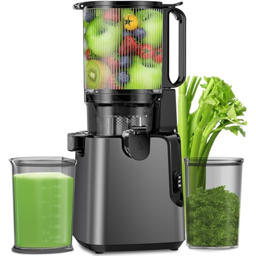 Juicer Machines 5.8" Feed Chute, Cold Press for Whole Fruits, 400W Masticating Juicer, Easy Clean Extractor, High Juice Yield