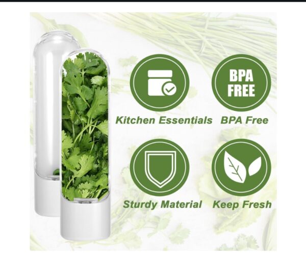 Herb Storage Container with Clear Front Lid - Image 3