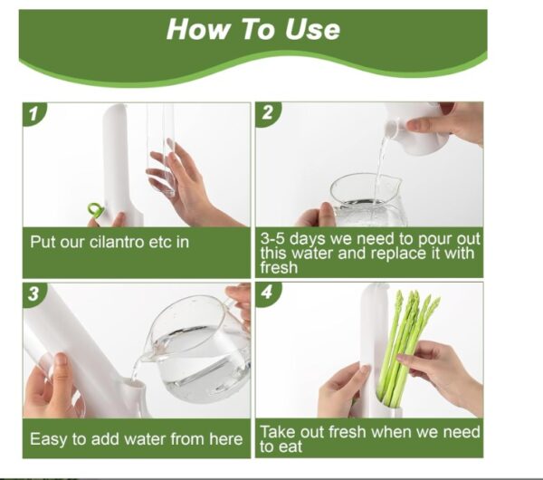 Herb Storage Container with Clear Front Lid - Image 2