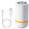 Electric Vacuum Pump