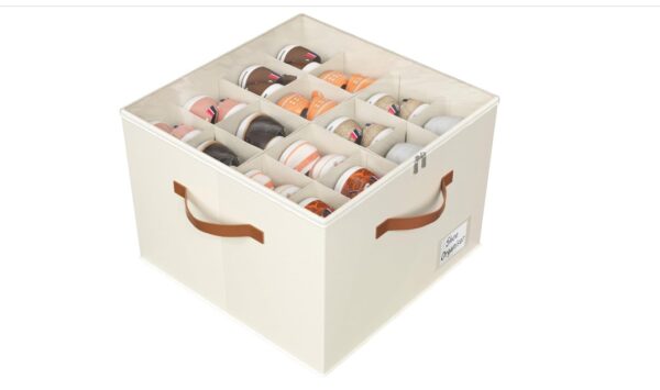 Shoe Storage Box for Closet