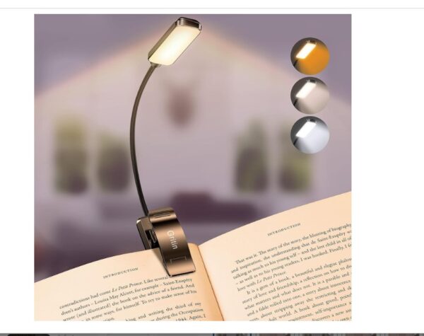 Gritin 9 LED Clip on Book Light