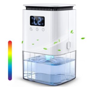 Dehumidifier for Home