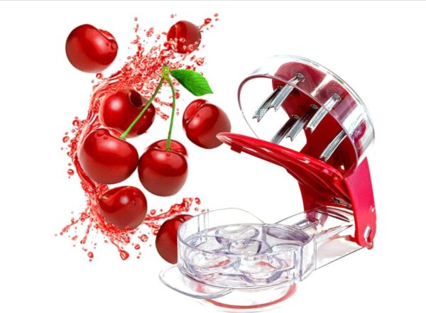 Stainless Steel Multiple Cherry Stone Remover Tool