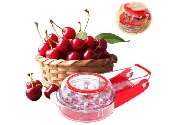 Stainless Steel Multiple Cherry Stone Remover Tool - Image 2
