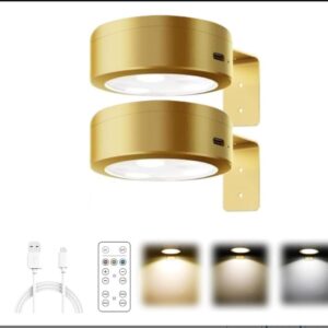 Kouamor 2Pcs Picture Lights for Wall