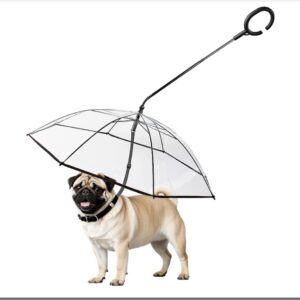 Enjoying Dog Umbrella for Small Dogs