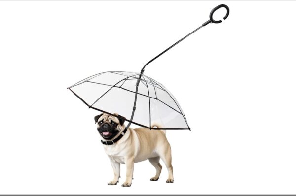 Enjoying Dog Umbrella for Small Dogs