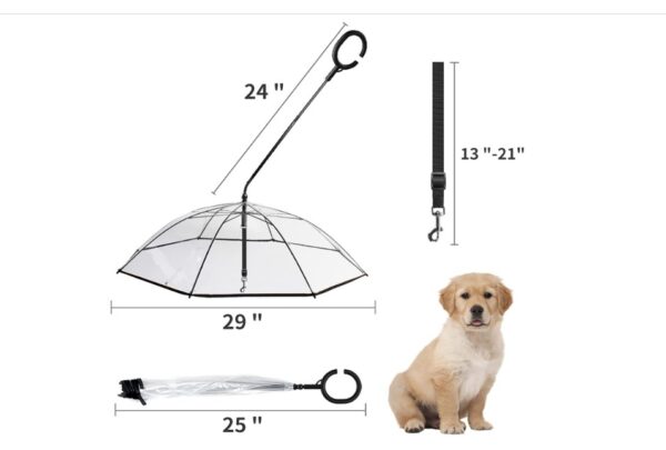 Enjoying Dog Umbrella for Small Dogs - Image 4